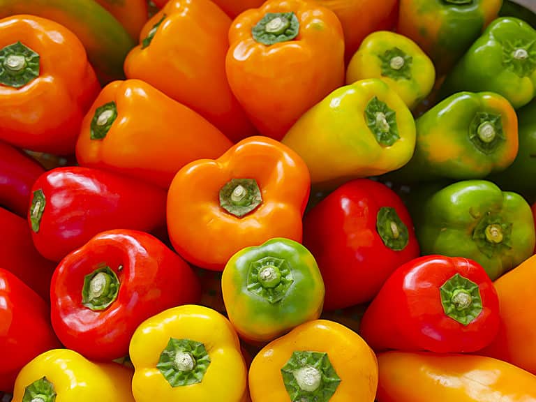 Tips for Growing Peppers