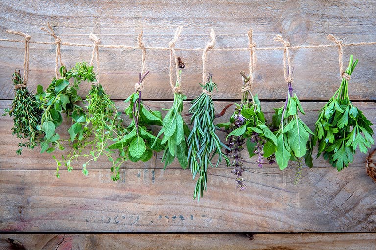 Tips on Growing Herbs