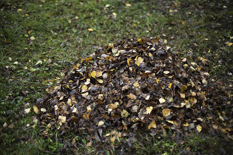 Hot vs. Cold Composting