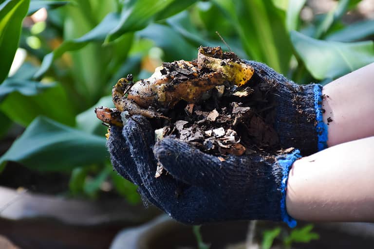 3 Ways to Compost Your Garden and Food Waste