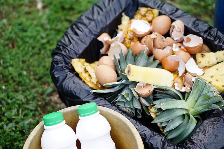 Don’t Throw It Out, Let’s Discuss How To Compost