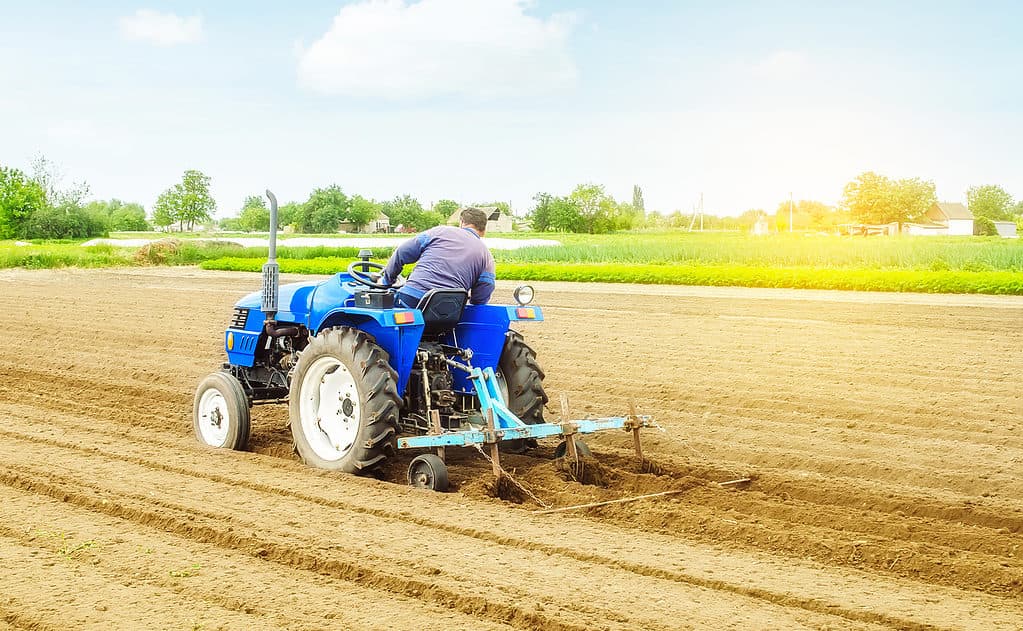 Farmer on a tractor making ridges and mounds rows on a farm field. Marking the area under planting. Soil preparation. Farming agribusiness. Agricultural industry. Growing vegetables food plants.