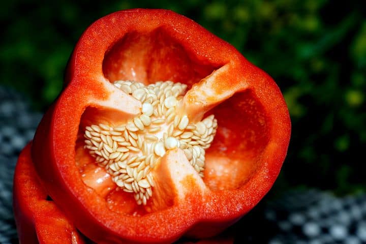 Bell pepper seeds