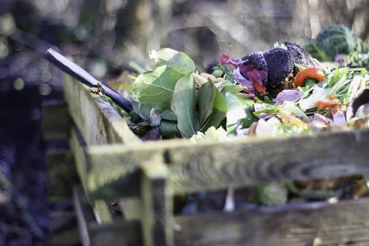 how to start composting for beginners
