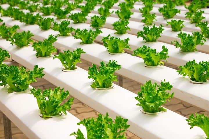 Hydroponics systems