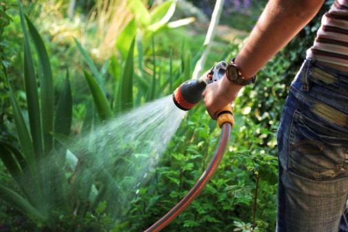 best garden tools - Garden Hose Nozzle