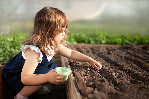 Little girl planting seeds