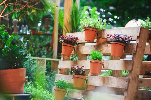 recycled wooden pallet for flower pots.