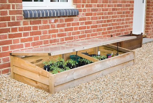 Cold frame with vegetable (tomato) plants against a wall in a UK garden in spring