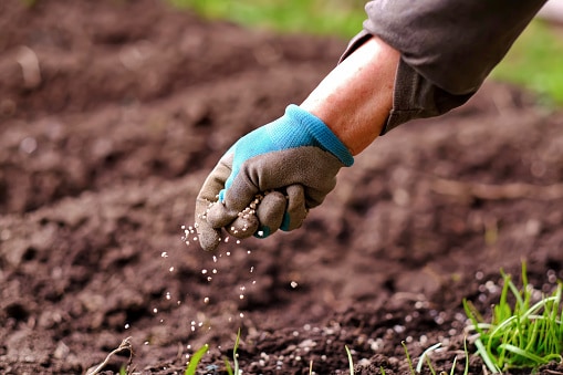 essential plant nutrients