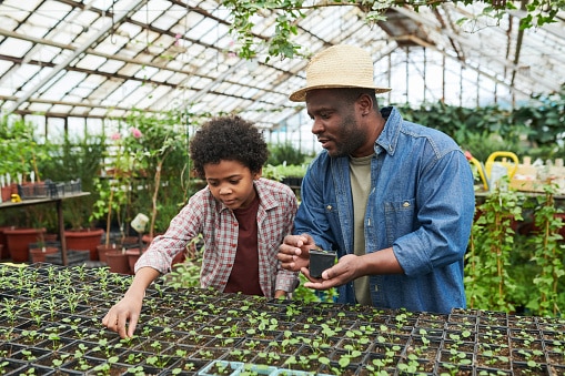 Child in vegetable garden