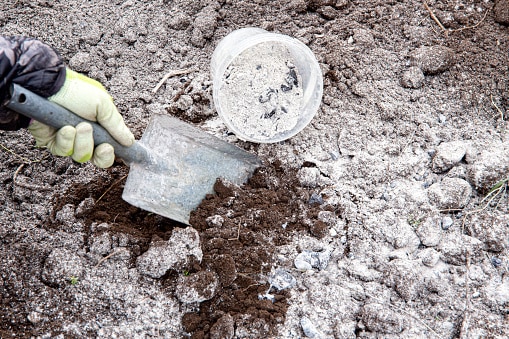 how to use ash in the garden