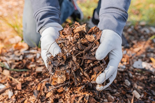 Working with mulch using gardening gloves