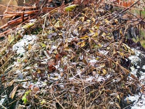 hot vs cold composting