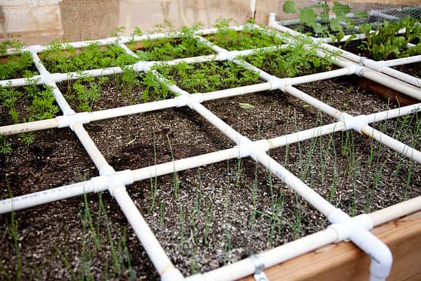 square foot gardening