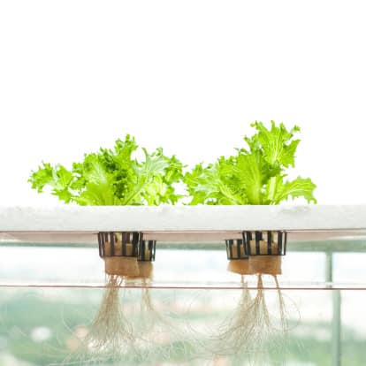 Hydroponics systems