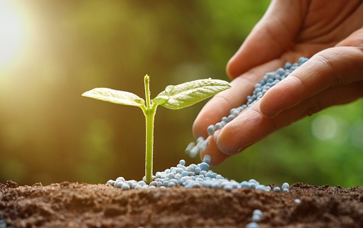 Manure for plants