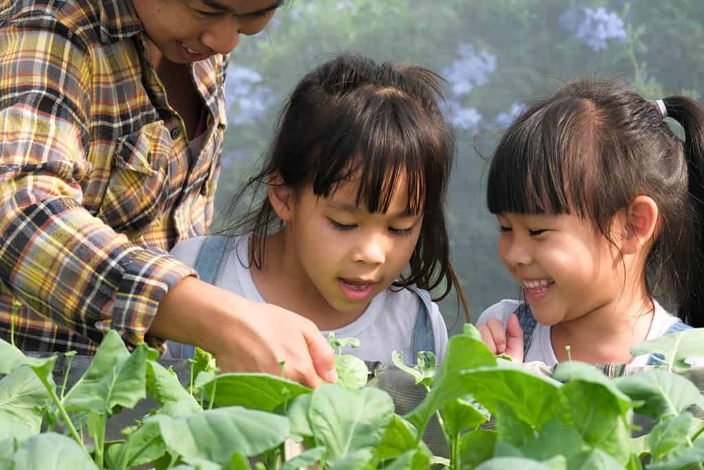 urban gardening, family, growing your own food, sustainable living