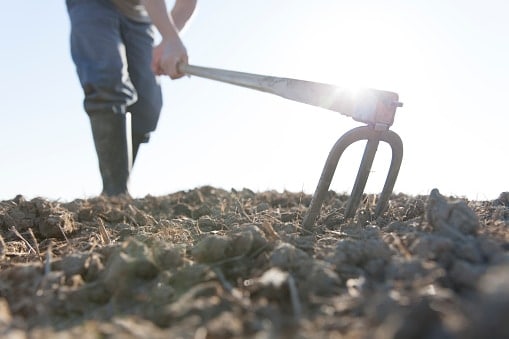 best garden tools - the garden fork