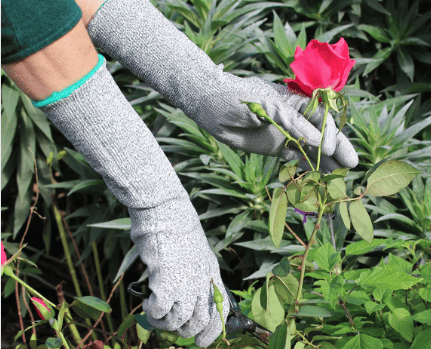 garden sleeve protection