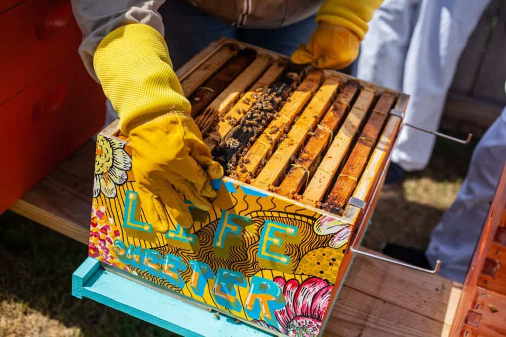 Brown Wooden Crate With Bees. Essentials of life
