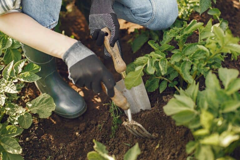 10 of the Best Gardening Gloves for 2023