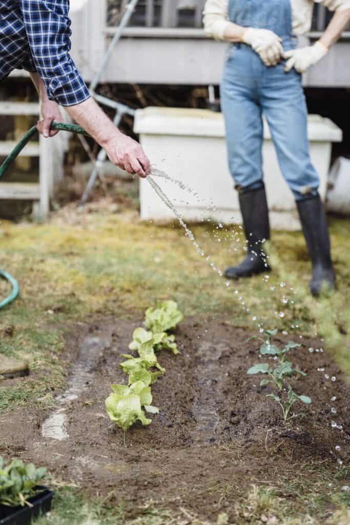 preparing garden for winter