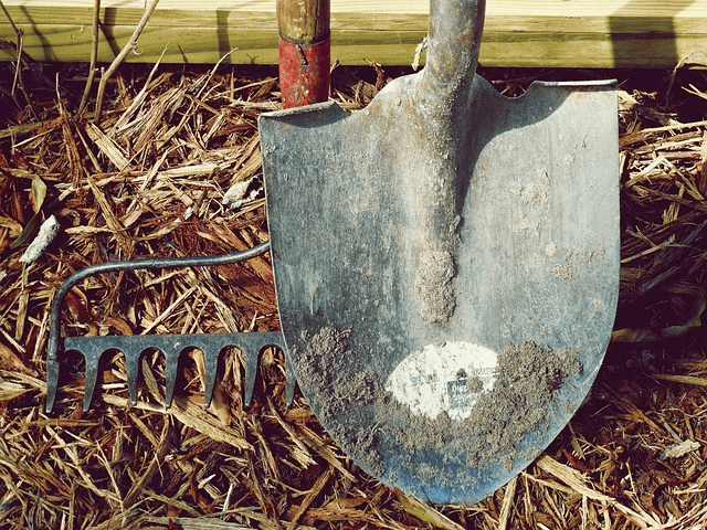 shovel, nature, rake