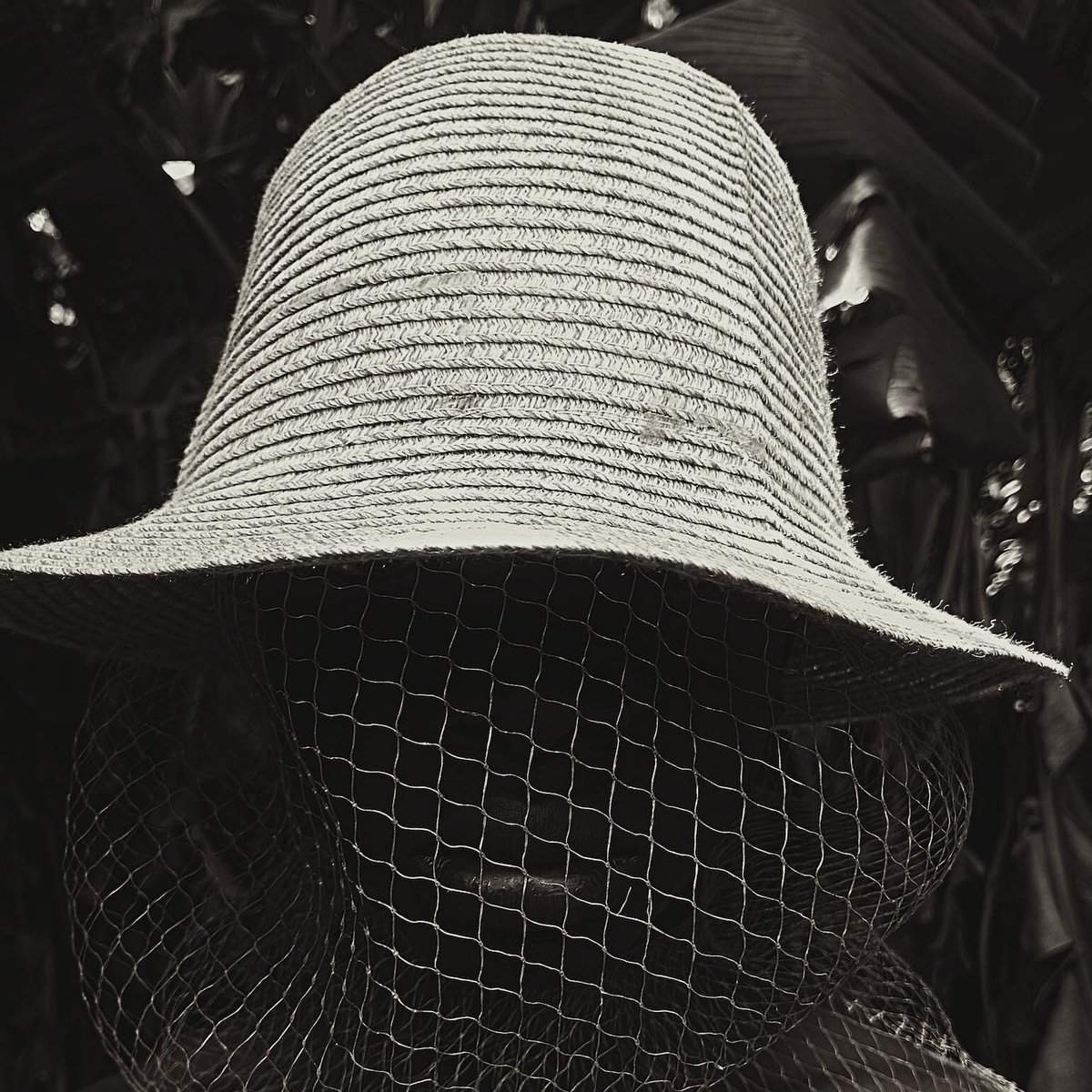 Person in Protective Net and Straw Hat