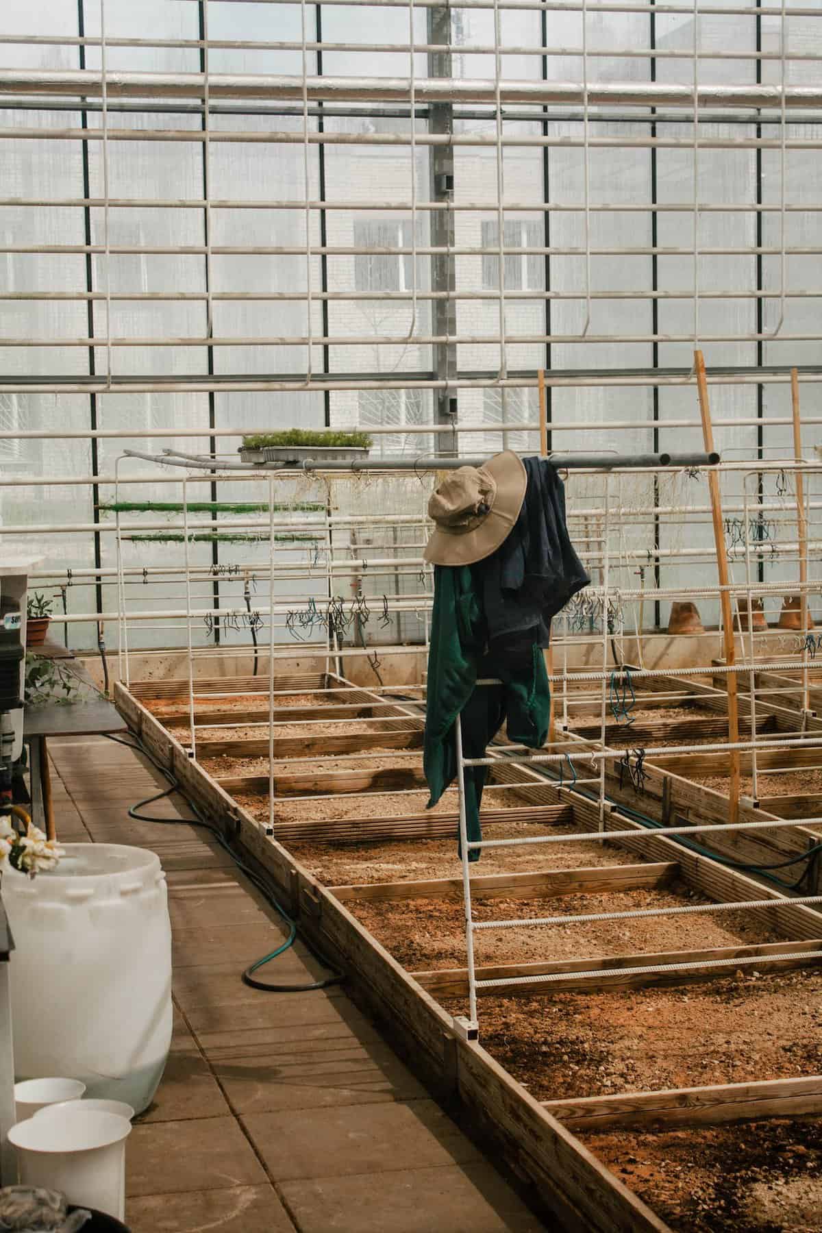 clothes hanging in greenhouse