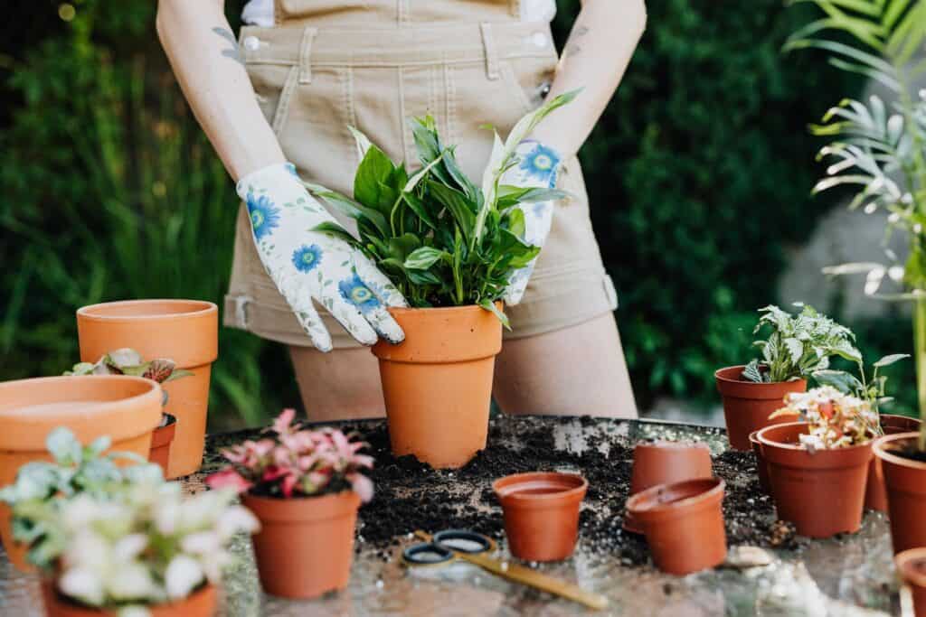 Patterned gloves holding a clay potted plant