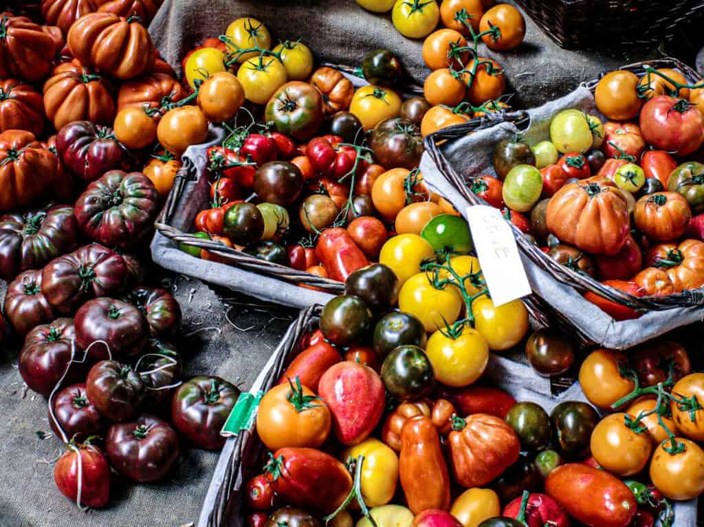 Assorted Tomatoes Displayed on Baskets and Gray Textile